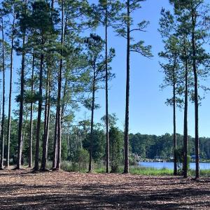 Photo #5 of Off Jarvis Landing Rd, Aurora, NC 14.1 acres