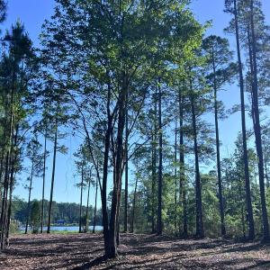 Photo #6 of Off Jarvis Landing Rd, Aurora, NC 14.1 acres