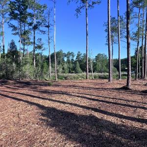 Photo #7 of Off Jarvis Landing Rd, Aurora, NC 14.1 acres