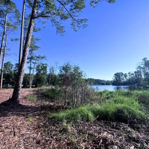 Photo #9 of Off Jarvis Landing Rd, Aurora, NC 14.1 acres