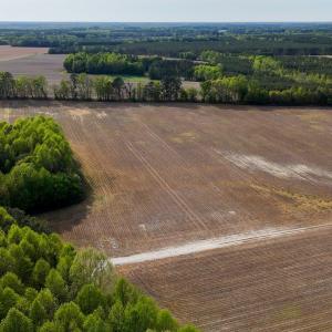 Photo #12 of 1428 Deberrys Mill Rd, Conway, NC 343.5 acres