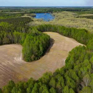 Photo #5 of 1428 Deberrys Mill Rd, Conway, NC 343.5 acres