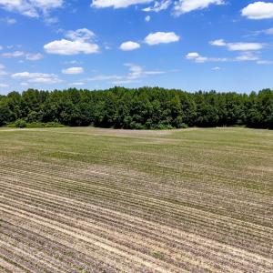 Photo #83 of 1428 Deberrys Mill Rd, Conway, NC 343.5 acres