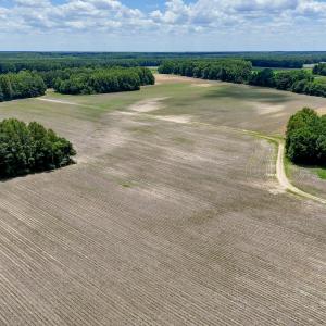 Photo #84 of 1428 Deberrys Mill Rd, Conway, NC 343.5 acres