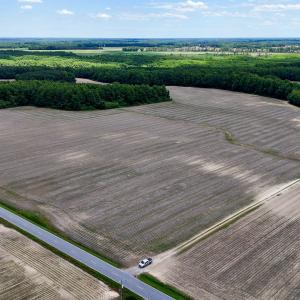 Photo #87 of 1428 Deberrys Mill Rd, Conway, NC 343.5 acres
