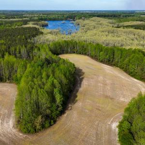 Photo #90 of 1428 Deberrys Mill Rd, Conway, NC 343.5 acres
