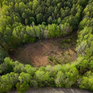 Photo #92 of 1428 Deberrys Mill Rd, Conway, NC 343.5 acres