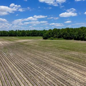 Photo #95 of 1428 Deberrys Mill Rd, Conway, NC 343.5 acres