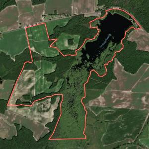 Photo #96 of 1428 Deberrys Mill Rd, Conway, NC 343.5 acres