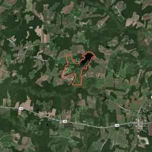 Photo #97 of 1428 Deberrys Mill Rd, Conway, NC 343.5 acres