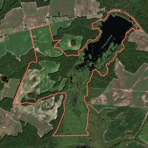 Photo #98 of 1428 Deberrys Mill Rd, Conway, NC 343.5 acres