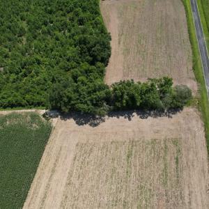 Photo #3 of Off of Booker Lennon Road, Evergreen, NC 2.0 acres