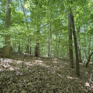 Photo #14 of Off of Buttonwood Ln Lot 5, Roxboro, NC 5.1 acres