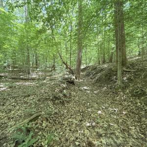 Photo #19 of Off of Buttonwood Ln Lot 5, Roxboro, NC 5.1 acres