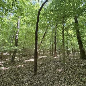 Photo #20 of Off of Buttonwood Ln Lot 5, Roxboro, NC 5.1 acres