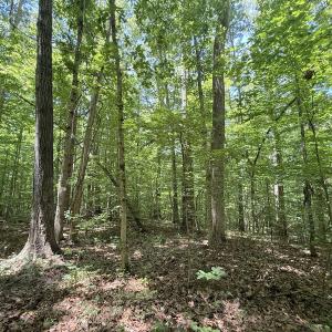 Photo #21 of Off of Buttonwood Ln Lot 5, Roxboro, NC 5.1 acres