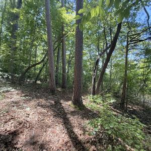 Photo #25 of Off of Buttonwood Ln Lot 5, Roxboro, NC 5.1 acres