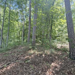 Photo #29 of Off of Buttonwood Ln Lot 5, Roxboro, NC 5.1 acres