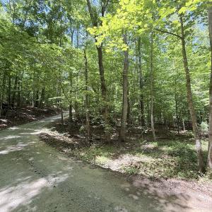 Photo #5 of Off of Buttonwood Ln Lot 5, Roxboro, NC 5.1 acres