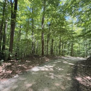 Photo #7 of Off of Buttonwood Ln Lot 5, Roxboro, NC 5.1 acres