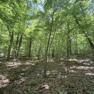Photo #9 of Off of Buttonwood Ln Lot 5, Roxboro, NC 5.1 acres