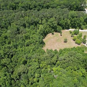 Photo #10 of Off of Old Chinquapin Rd, Beulaville, NC 3.7 acres