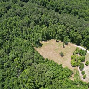 Photo #11 of Off of Old Chinquapin Rd, Beulaville, NC 3.7 acres