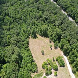 Photo #12 of Off of Old Chinquapin Rd, Beulaville, NC 3.7 acres