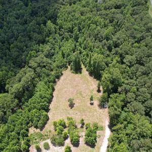 Photo #13 of Off of Old Chinquapin Rd, Beulaville, NC 3.7 acres