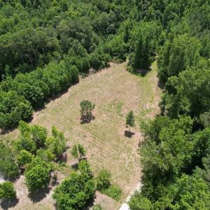 Photo #14 of Off of Old Chinquapin Rd, Beulaville, NC 3.7 acres