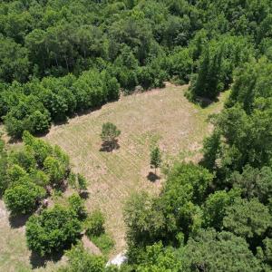 Photo #15 of Off of Old Chinquapin Rd, Beulaville, NC 3.7 acres
