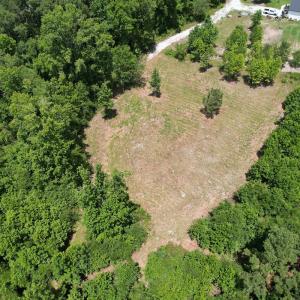 Photo #16 of Off of Old Chinquapin Rd, Beulaville, NC 3.7 acres
