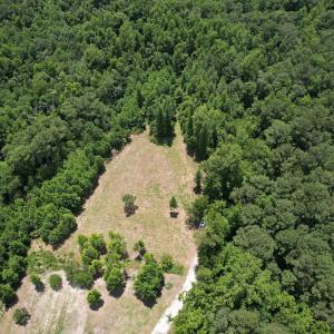 Photo #1 of Off of Old Chinquapin Rd, Beulaville, NC 3.7 acres