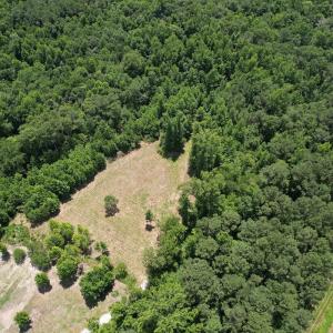 Photo #2 of Off of Old Chinquapin Rd, Beulaville, NC 3.7 acres