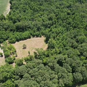 Photo #3 of Off of Old Chinquapin Rd, Beulaville, NC 3.7 acres
