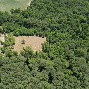 Photo #4 of Off of Old Chinquapin Rd, Beulaville, NC 3.7 acres