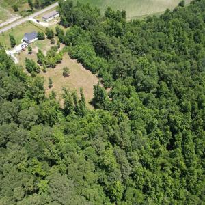 Photo #6 of Off of Old Chinquapin Rd, Beulaville, NC 3.7 acres