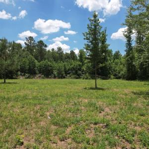 Photo #23 of Off of Old Chinquapin Rd, Beulaville, NC 3.7 acres