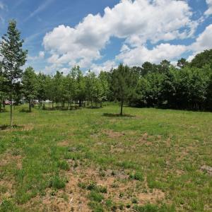 Photo #25 of Off of Old Chinquapin Rd, Beulaville, NC 3.7 acres