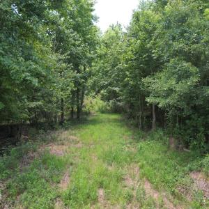 Photo #27 of Off of Old Chinquapin Rd, Beulaville, NC 3.7 acres