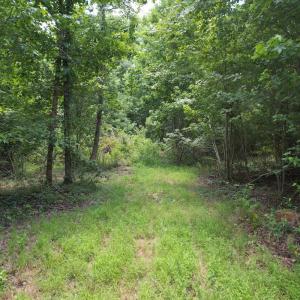 Photo #28 of Off of Old Chinquapin Rd, Beulaville, NC 3.7 acres