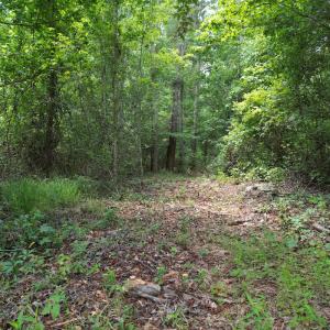 Photo #29 of Off of Old Chinquapin Rd, Beulaville, NC 3.7 acres