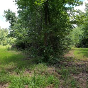 Photo #30 of Off of Old Chinquapin Rd, Beulaville, NC 3.7 acres
