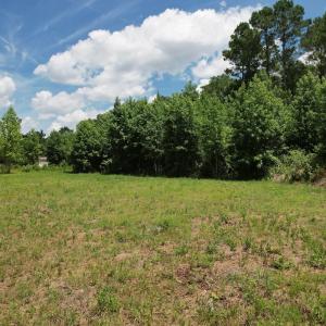 Photo #33 of Off of Old Chinquapin Rd, Beulaville, NC 3.7 acres