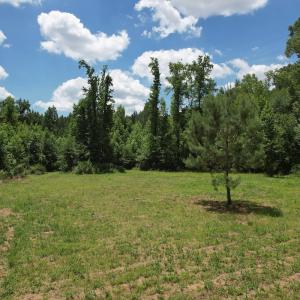 Photo #34 of Off of Old Chinquapin Rd, Beulaville, NC 3.7 acres
