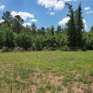 Photo #35 of Off of Old Chinquapin Rd, Beulaville, NC 3.7 acres