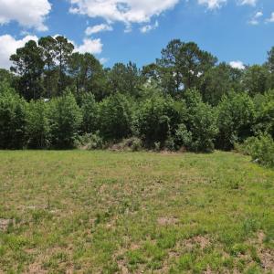 Photo #36 of Off of Old Chinquapin Rd, Beulaville, NC 3.7 acres