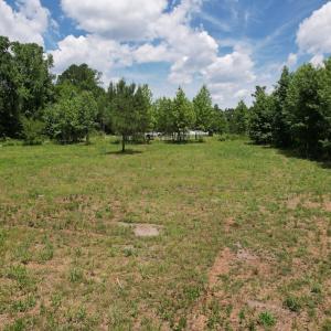Photo #37 of Off of Old Chinquapin Rd, Beulaville, NC 3.7 acres