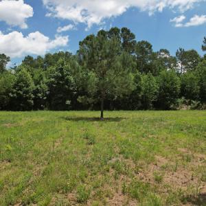 Photo #38 of Off of Old Chinquapin Rd, Beulaville, NC 3.7 acres