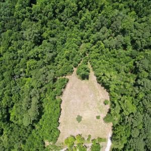 Photo #39 of Off of Old Chinquapin Rd, Beulaville, NC 3.7 acres